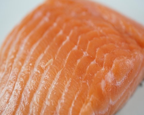 Fresh salmon fillet